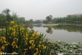 远景