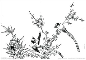 花鸟