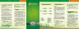 大学三折页设计
