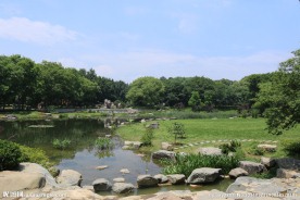东湖风光