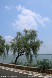 东湖风光