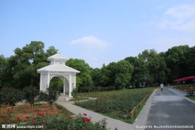 东湖风光