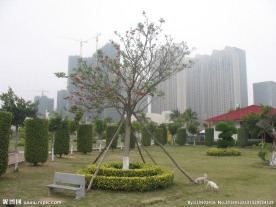 泉州市江滨体育公园