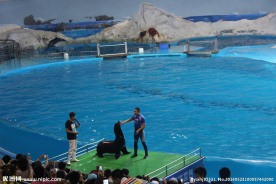 青岛海洋馆