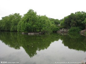 动物园 湖水