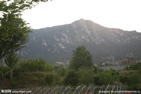 望山