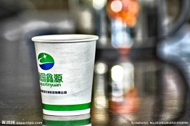 纸杯