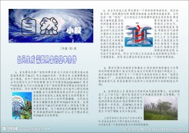 自然小报