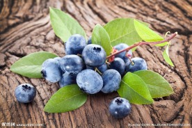 蓝莓