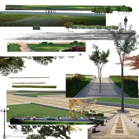 树木 人物 道路 花