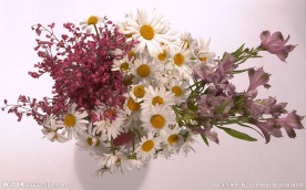 插花