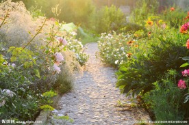 花园风景自然风光美景