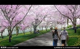 桃花林景观大道设计