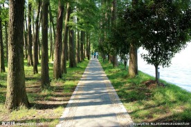 湖边小路