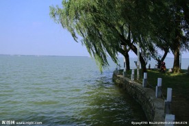 东湖风光