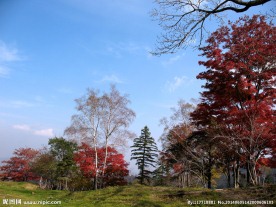 红叶五花山