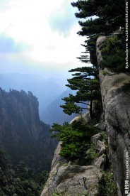 黄山风光