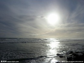 新西兰鸟岛风光