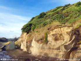 新西兰鸟岛风景
