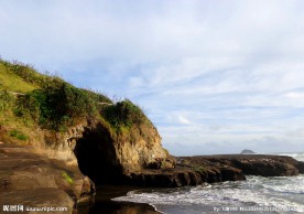 新西兰鸟岛风光