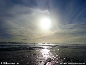 新西兰鸟岛风光