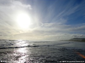 新西兰鸟岛风光