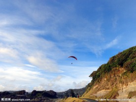 新西兰鸟岛风光
