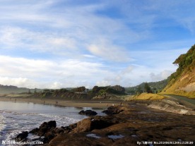 新西兰鸟岛风光