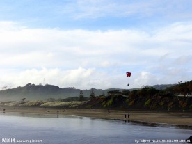 新西兰鸟岛风光