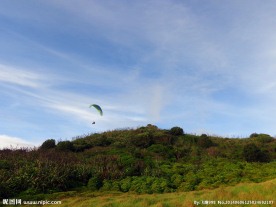新西兰鸟岛风光