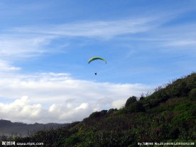 新西兰鸟岛风光