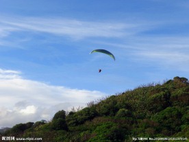 新西兰鸟岛风光