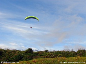 新西兰鸟岛风光