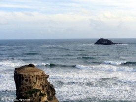 新西兰鸟岛风光