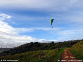 新西兰鸟岛风光