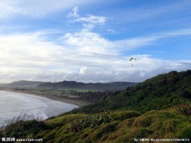 新西兰鸟岛风光
