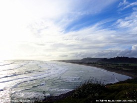 新西兰鸟岛风光