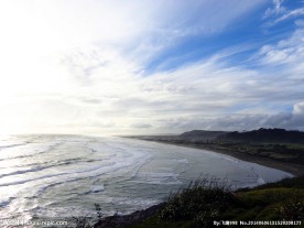 新西兰鸟岛风光