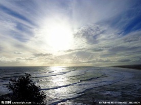 新西兰鸟岛风光