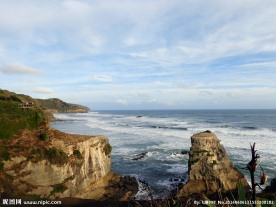 新西兰鸟岛风光