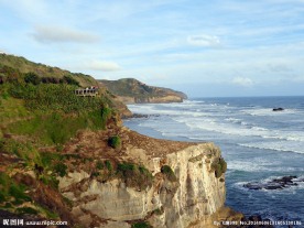 新西兰鸟岛风光