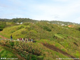 新西兰鸟岛风光