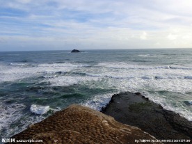 新西兰鸟岛风光