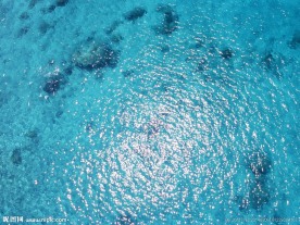 恋海
