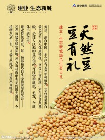 有机大豆