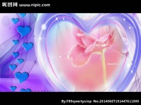 爱心花朵婚礼视频素材