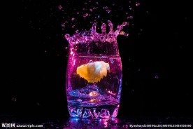鸡尾酒 酒水