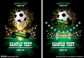 巴西足球世界杯素材