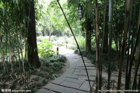 竹林小道