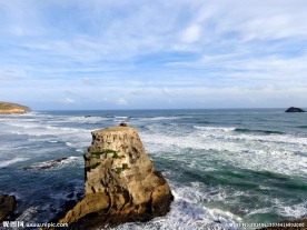 新西兰鸟岛风光